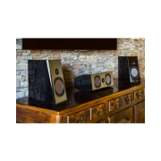 Subwoofer PhaseTech PC-SUB WL10